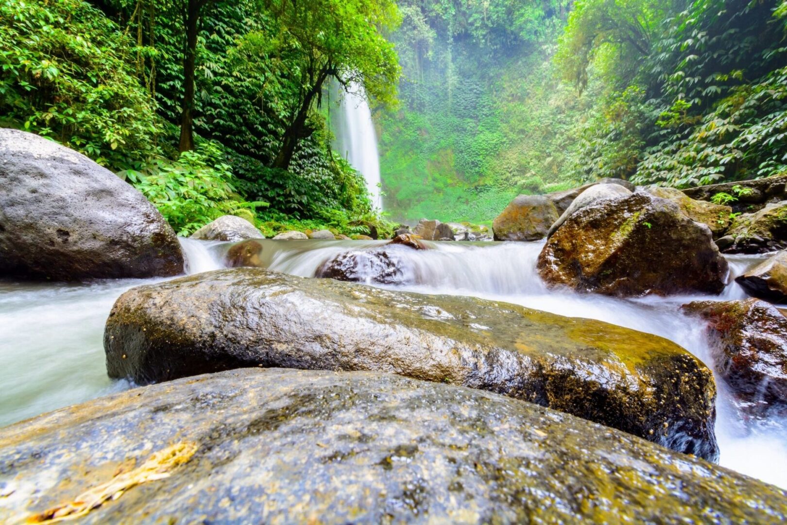 Forest waterfall with smooth flowing stream and rocks